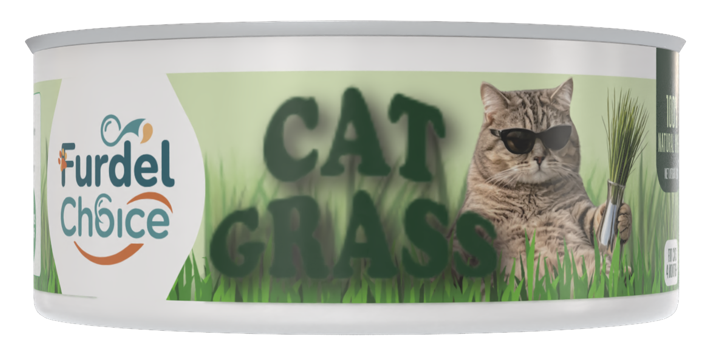 Furdel Choice cat-grass